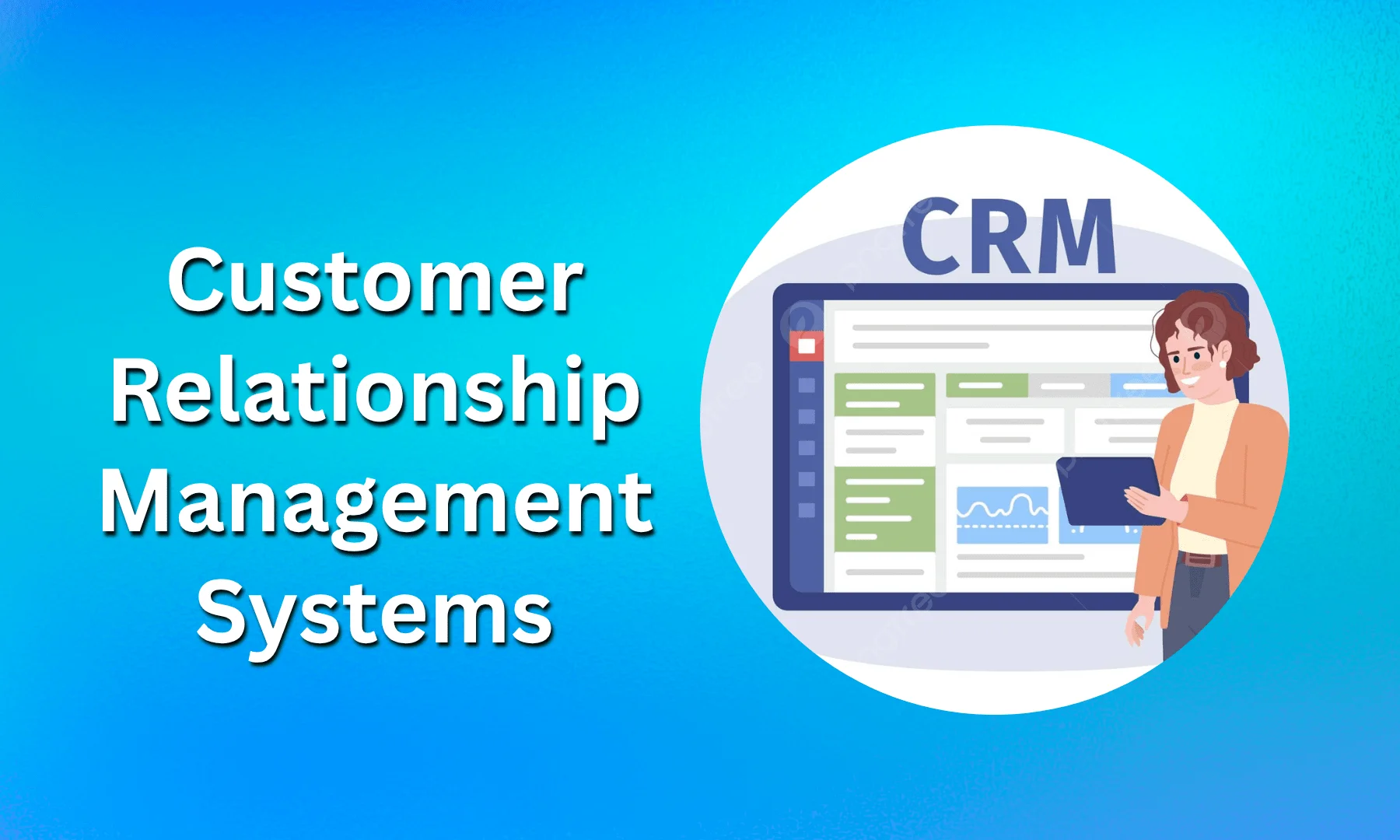 Custom CRM Systems